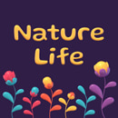 Clay typography graphics