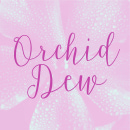 Orchid dew photo card