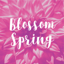 Blossom spring photo card