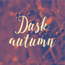 Dusk autumn photo card