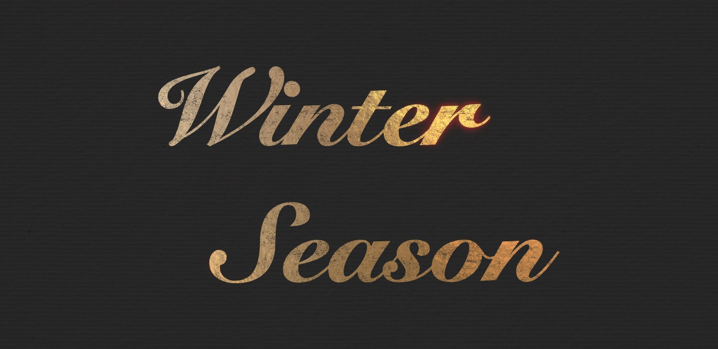 Gold foil typography for Christmas holiday.