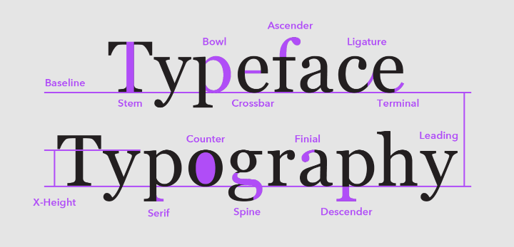 Typeface terminology.