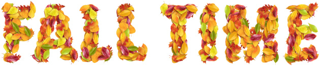 Typography layed with leaves.